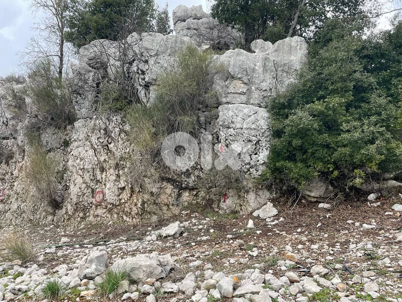 GMK248SS - Land for sale in Beqaatet Achqout -  أرض للبيع في بقعاتة 1
