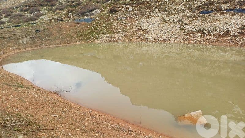 lands for sale in tannourine أرض "لقطة"للبيع في تنورين 1