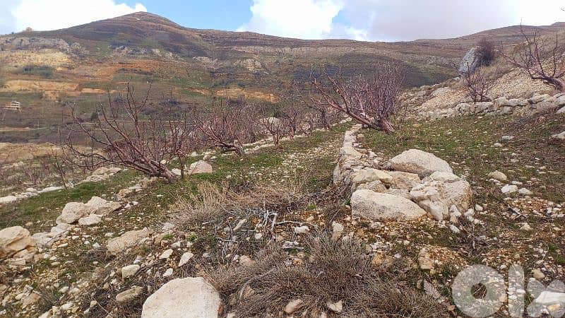 lands for sale in tannourine أرض "لقطة"للبيع في تنورين 2