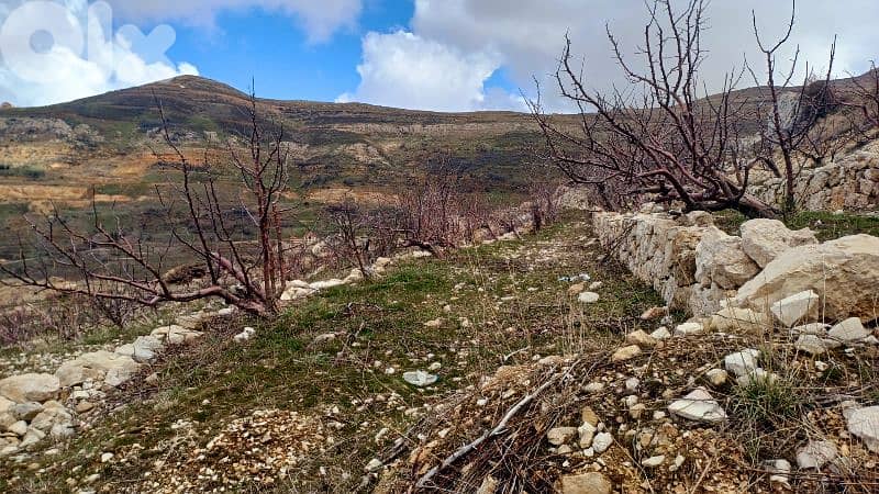 lands for sale in tannourine أرض "لقطة"للبيع في تنورين 3