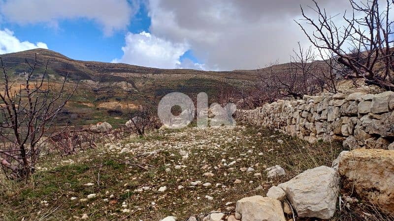 lands for sale in tannourine أرض "لقطة"للبيع في تنورين 4