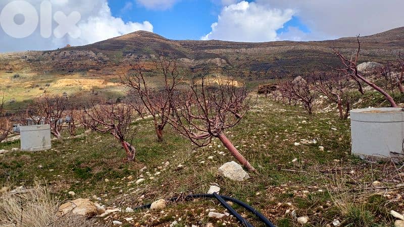 lands for sale in tannourine أرض "لقطة"للبيع في تنورين 5