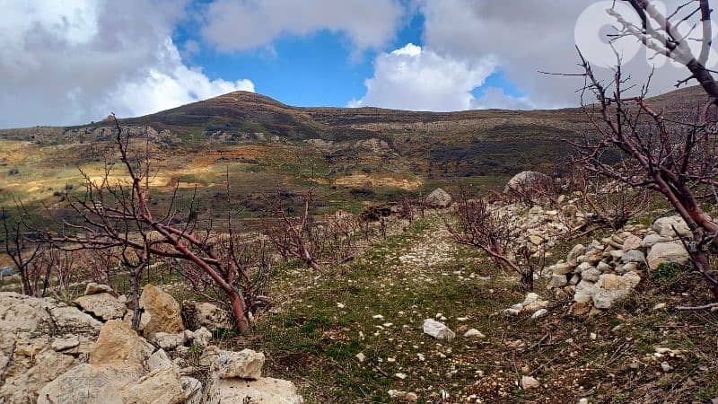 lands for sale in tannourine أرض "لقطة"للبيع في تنورين 6