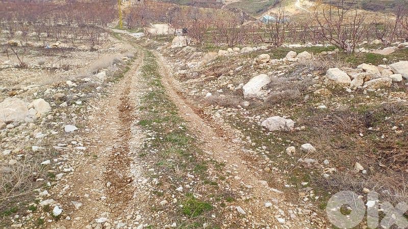 lands for sale in tannourine أرض "لقطة"للبيع في تنورين 8