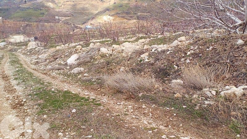 lands for sale in tannourine أرض "لقطة"للبيع في تنورين 9