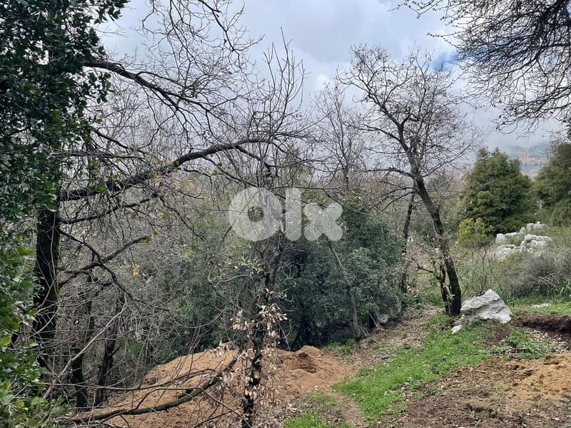 GMK250SS - Land For Sale In Beqaatet Achqout - أرض للبيع في بقعاتة 1