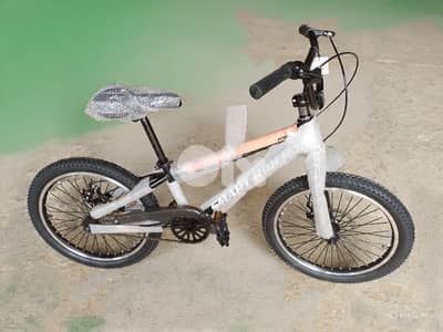 20 inch bicycle