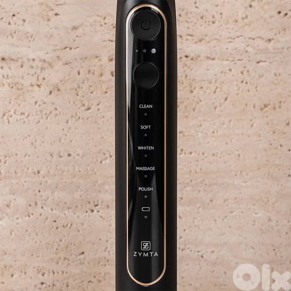 Rechargeable Electric Toothbrush IPX7 Waterproof 7