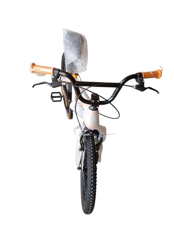 20 inch bicycle 2