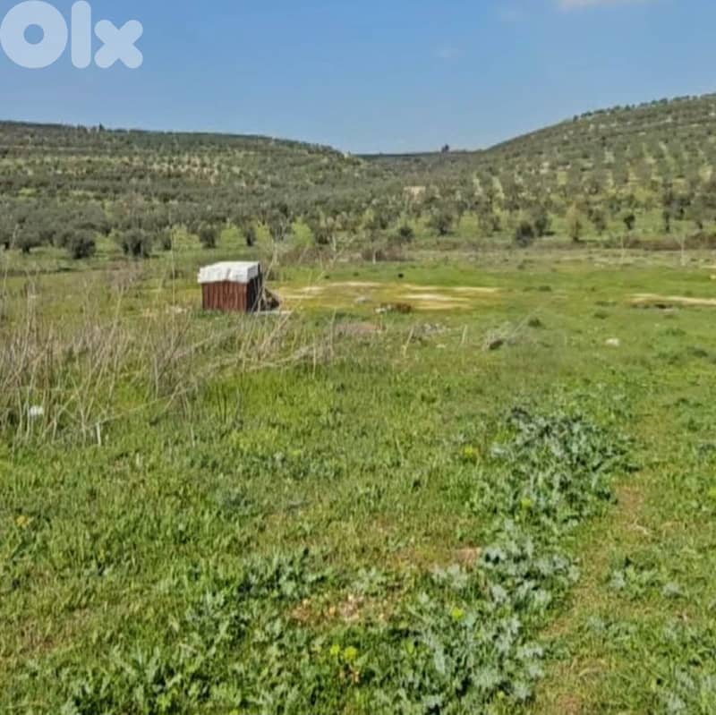 Prime Industrial Land – Zone A | Koura REF#PC134752 4