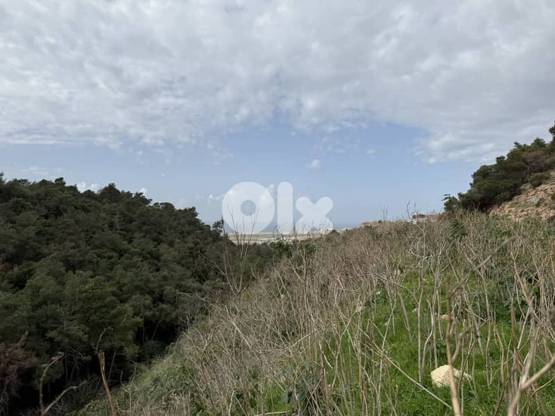 Land for sale in Deir Qoubel, Aley أرض مميزة للبيع في دير قوبل 1