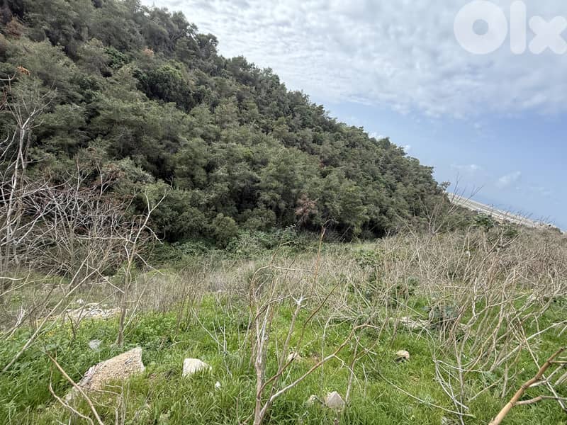 Land for sale in Deir Qoubel, Aley أرض مميزة للبيع في دير قوبل 4