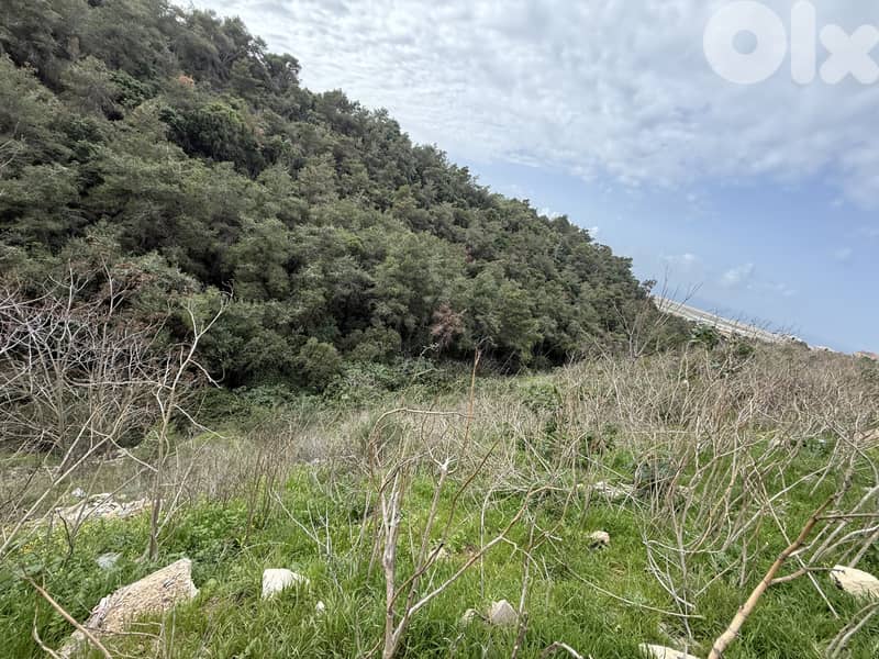 Land for sale in Deir Qoubel, Aley أرض مميزة للبيع في دير قوبل 8