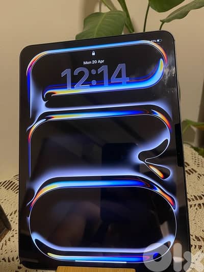 iPad Pro 11inch m4