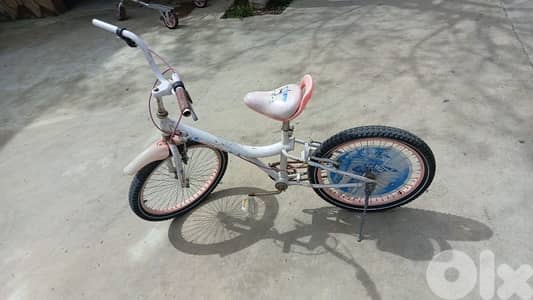 rayak