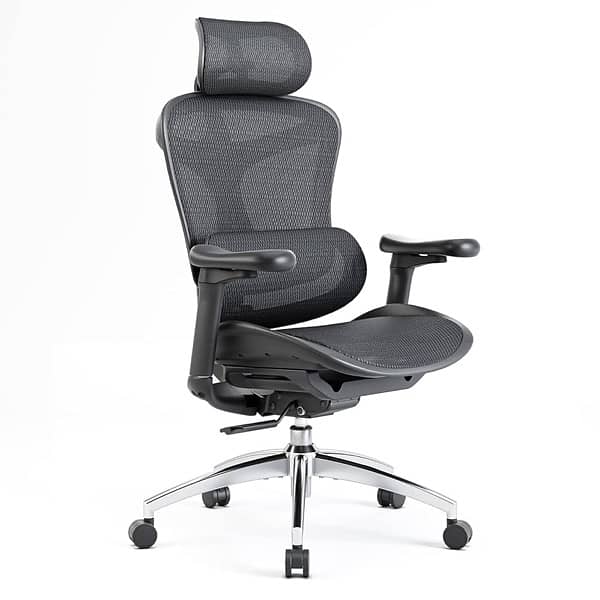 sihoo doro c300 3