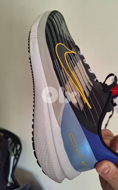 Nike winflo 9.0