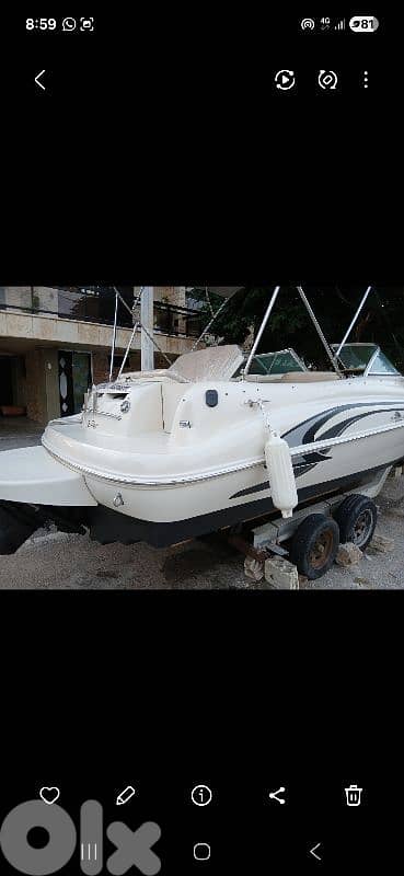 Searay Sundeck 210