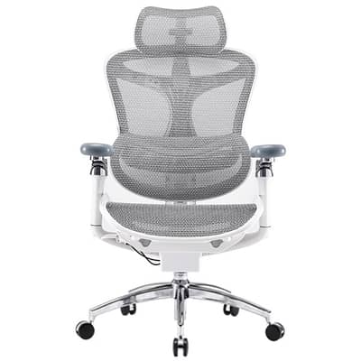 SIHOO chair 6D armrests