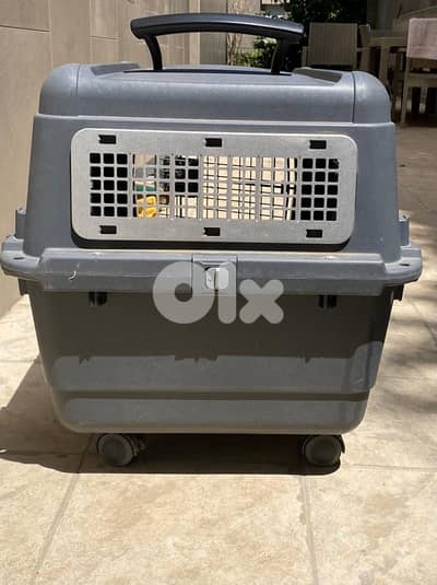 travel cage/crate