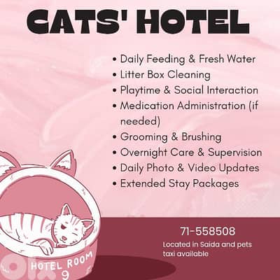 cats' hotel