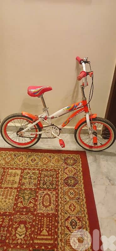 Bicycle Bike