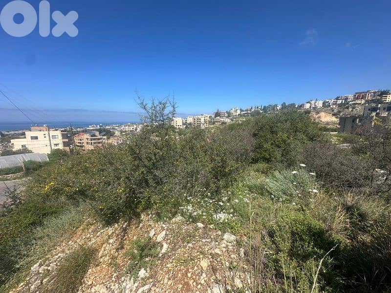 Land for Sale in Eddeh 1000m² ONLY for 110K في إده 2