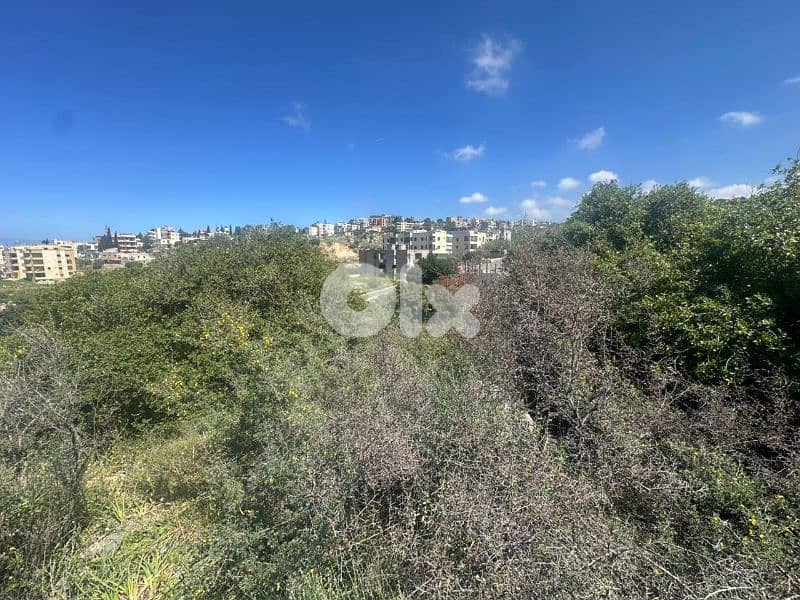 Land for Sale in Eddeh 1000m² ONLY for 110K في إده 4