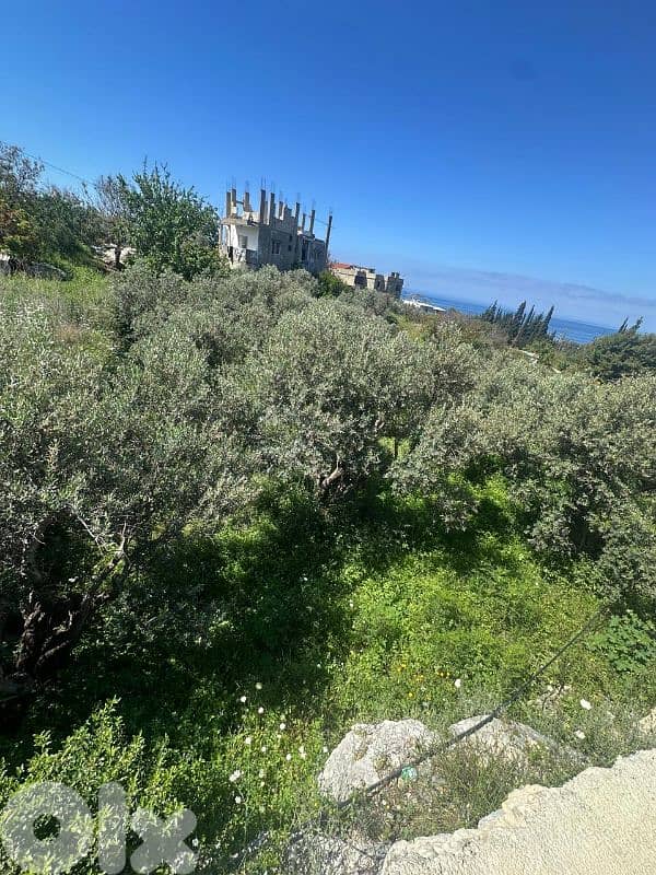 Land for Sale in Jeddayel 580m² ONLY for 175K في جدايل 1