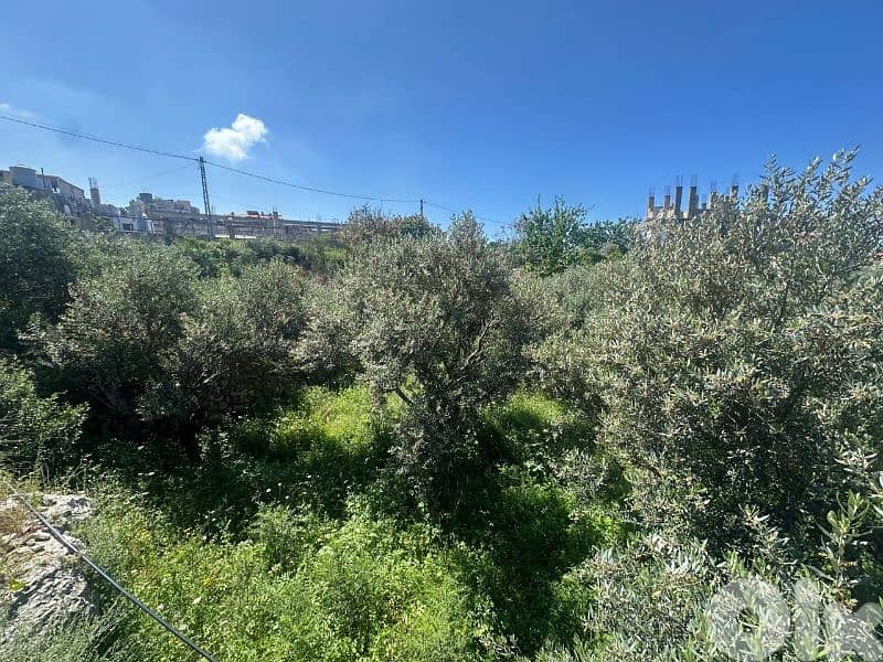 Land for Sale in Jeddayel 580m² ONLY for 175K في جدايل 4