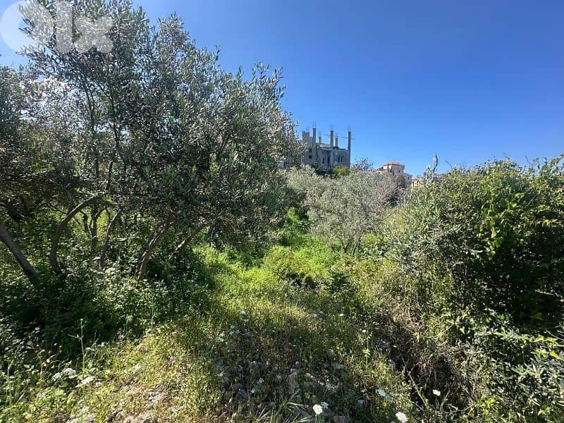 Land for Sale in Jeddayel 580m² ONLY for 175K في جدايل 5