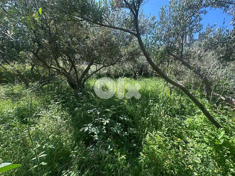 Land for Sale in Jeddayel 580m² ONLY for 175K في جدايل 6