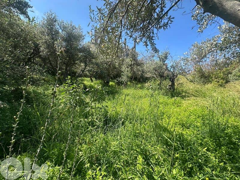 Land for Sale in Jeddayel 580m² ONLY for 175K في جدايل 7