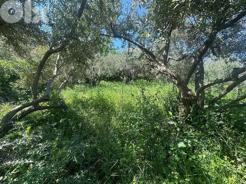 Land for Sale in Jeddayel 580m² ONLY for 175K في جدايل 8