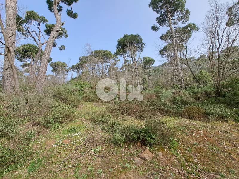 perfect 2500 sqm land for sale in Bekfaya 2