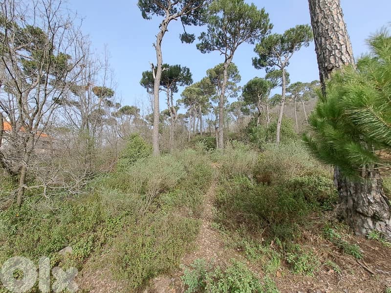 perfect 2500 sqm land for sale in Bekfaya 3