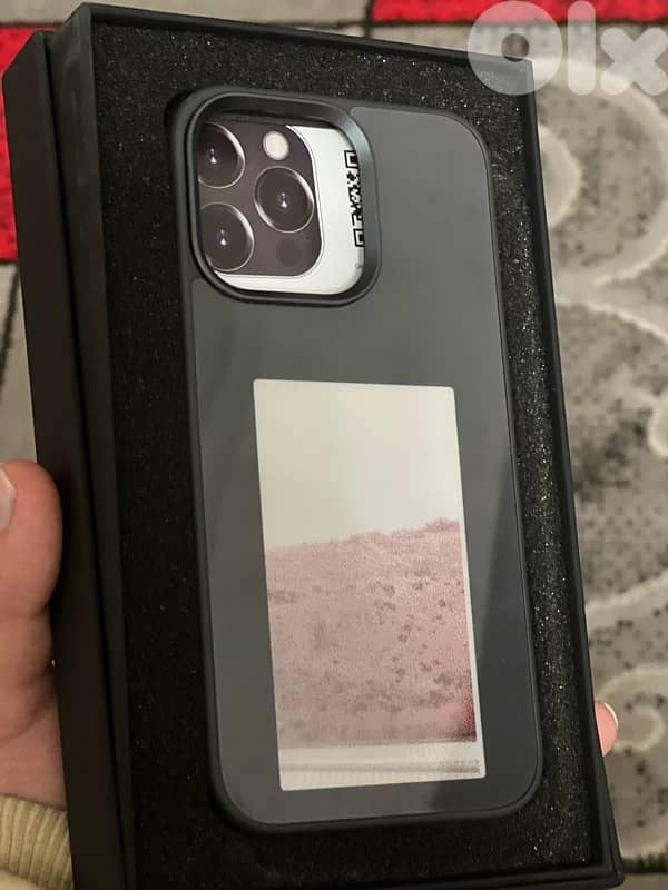 13pro 6