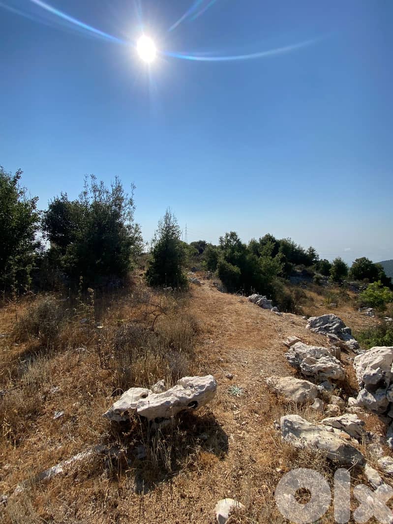Land for sale in Aannaya Jbeil عقار للبيع في عنايا جبيل 1