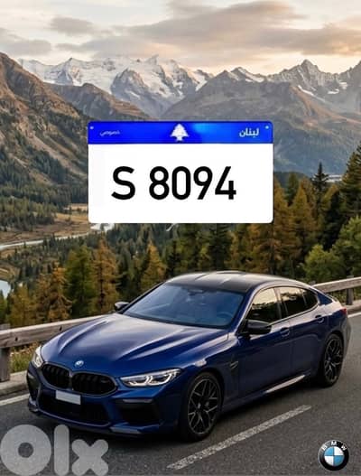 S 8094