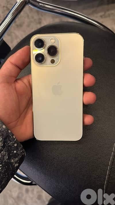 13 pro