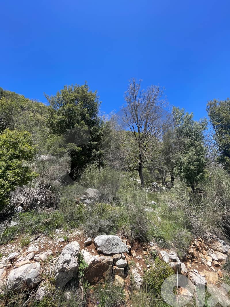 mountain, sea view, near Highway, Ehmej, Jbeil/إهمج REF#NI135642 3