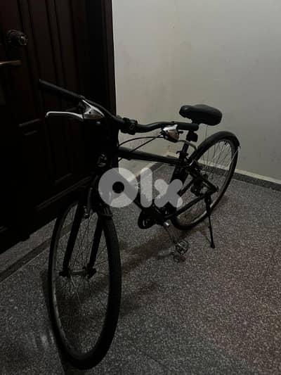 Italian Bike