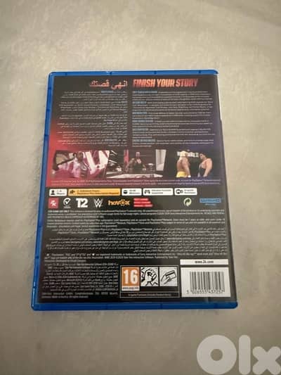 Wrestling game 2K24