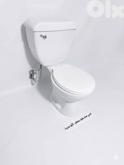 lecico toilet seat