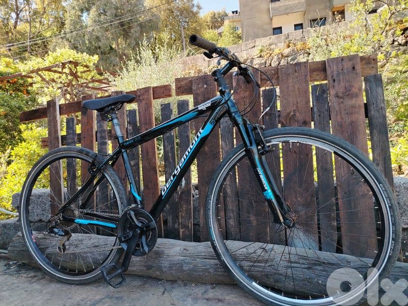 bergamont 28 4