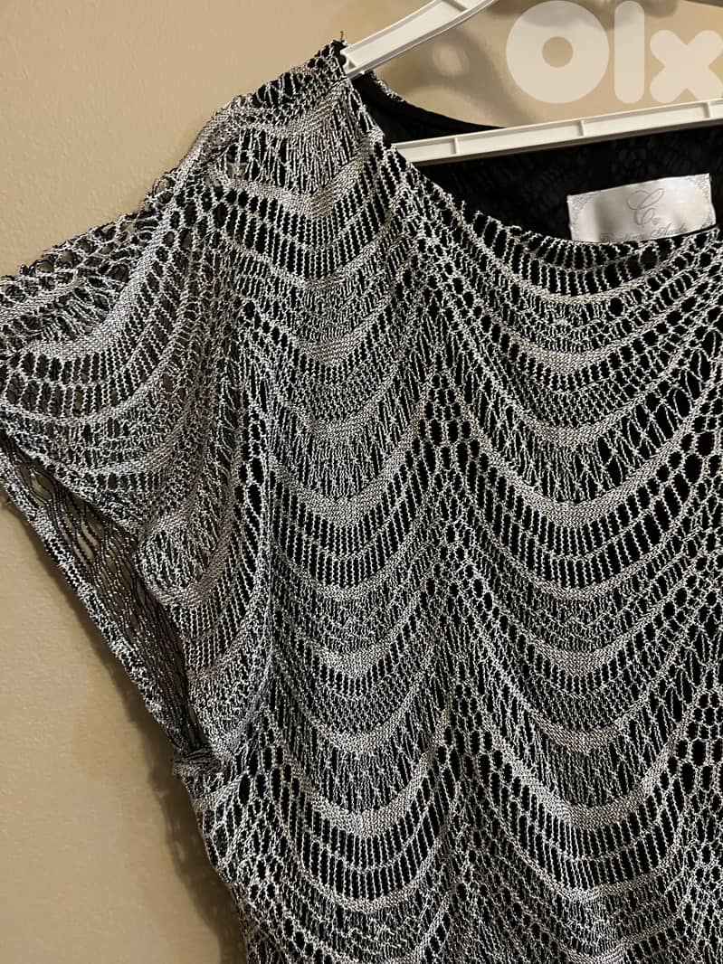 Silver Fringe Dress 4