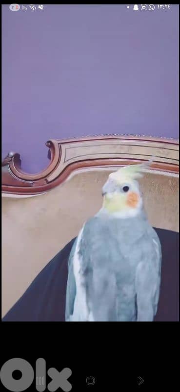 بيروت 3