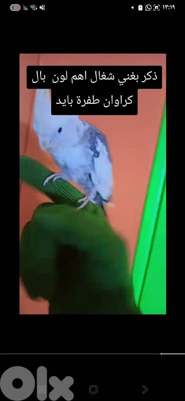 بيروت 9