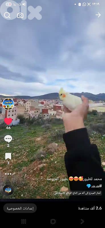 بيروت 10