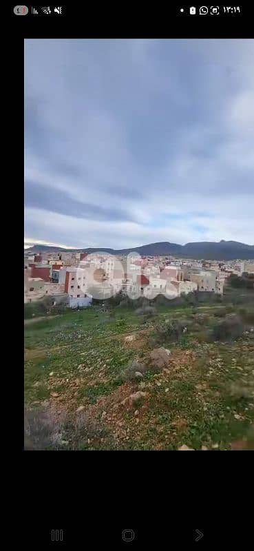 بيروت 11
